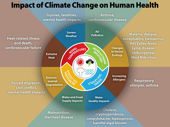 www.cdc.gov/climateandhealth/images/climate_change_health_impacts600w.jpg
